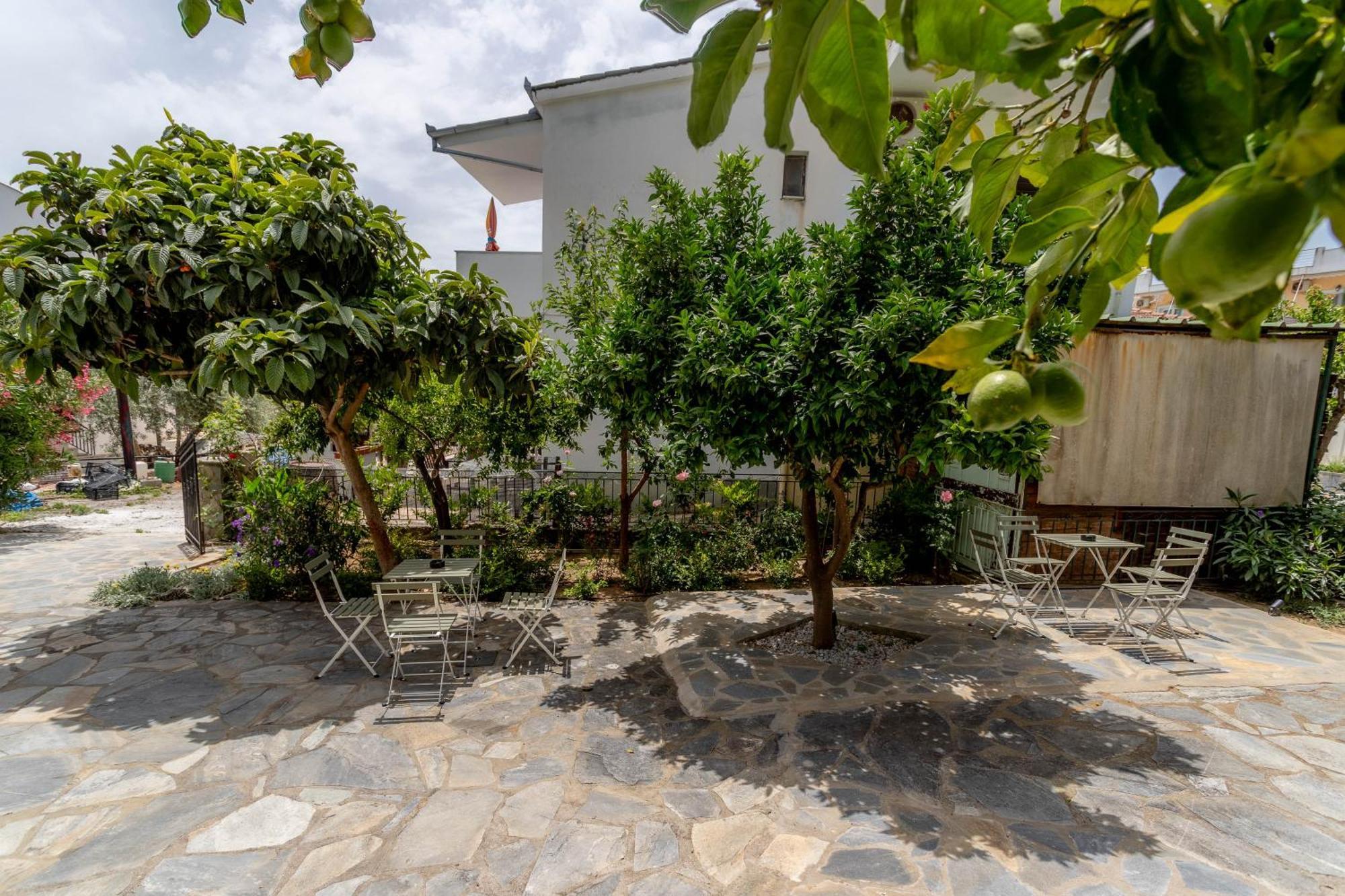 Pteleo Apartments Pteleós 外观 照片